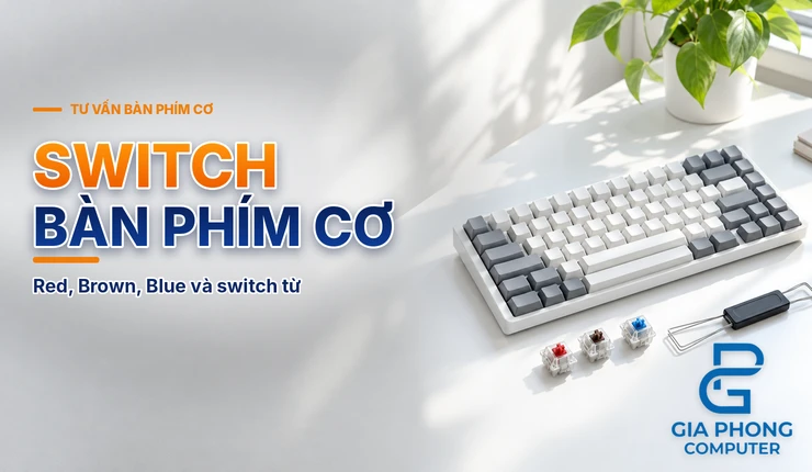 Switch Bàn Phím Cơ Nào Hợp Bạn? Red, Brown, Blue Và Switch Từ Rapid Trigger