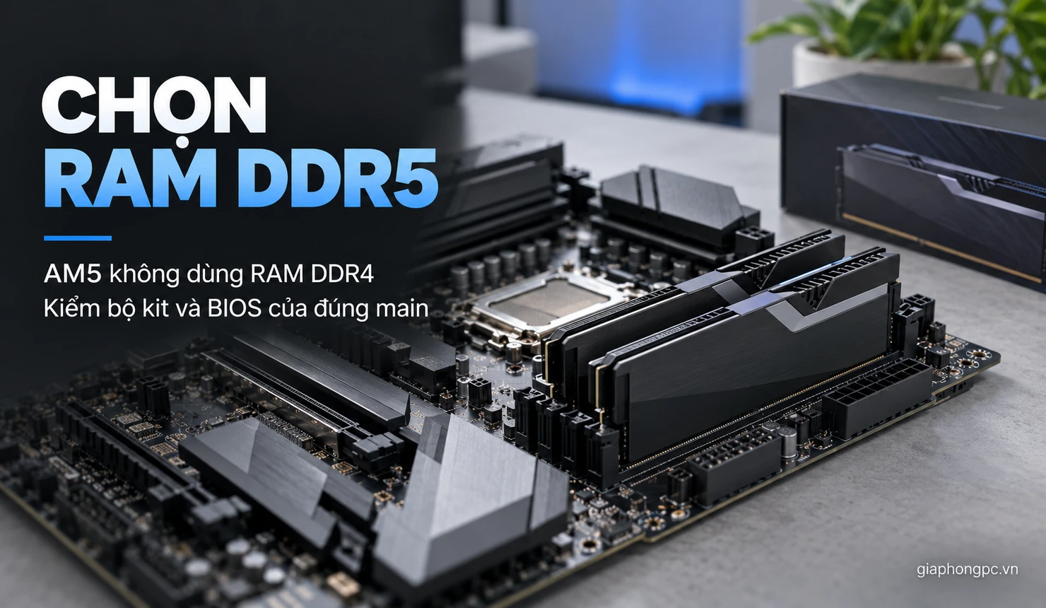 Chọn RAM DDR5 EXPO cho main AM5 Ryzen 5 7500F