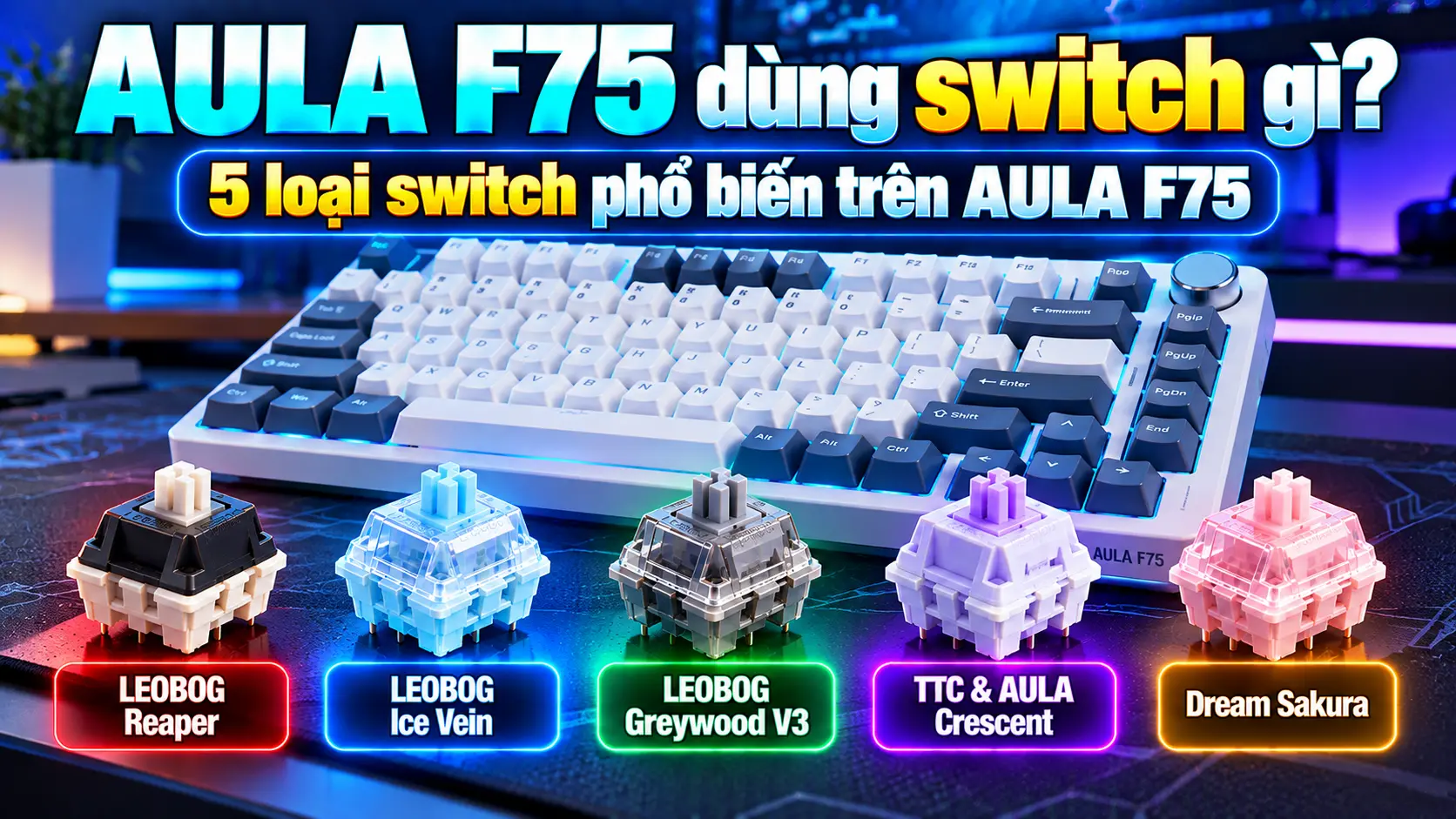 AULA F75 dùng switch gì? 5 loại switch phổ biến trên AULA F75