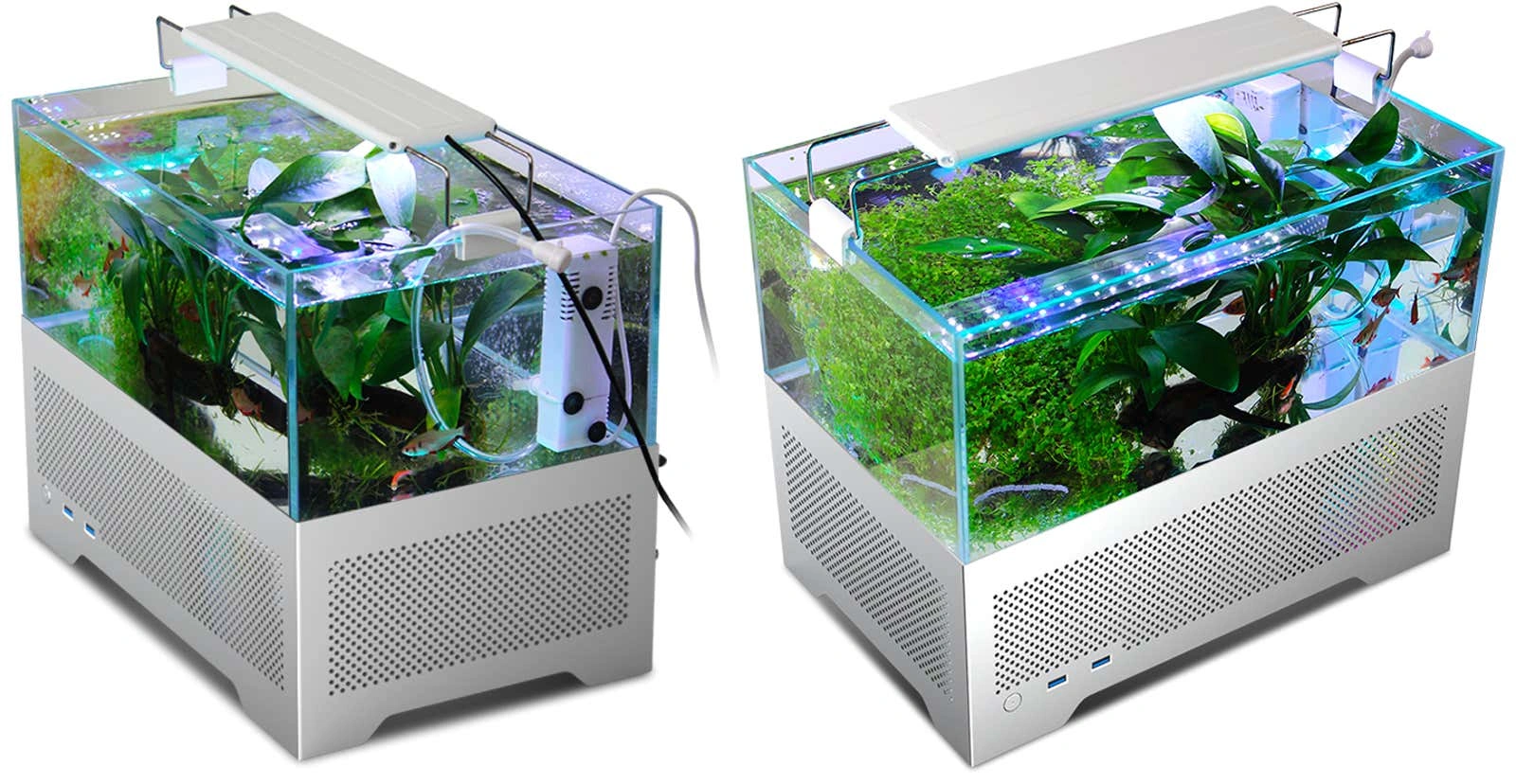 Build PC Bể Cá Là Gì? Xu Hướng Độ PC Độc Lạ Đang Gây Sốt 2026