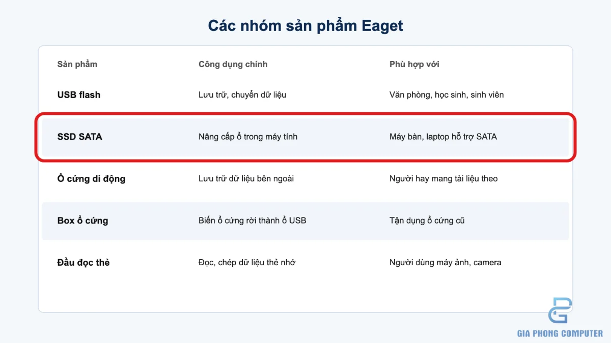 Sơ đồ các loại thiết bị lưu trữ Eaget gồm USB SSD ổ cứng di động và box ổ cứng